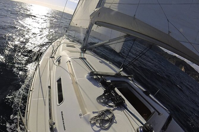 Whale & Dolphin Observation on Electric Sailing Boat in Denia - Wildlife sightings are a bonus, not a promise