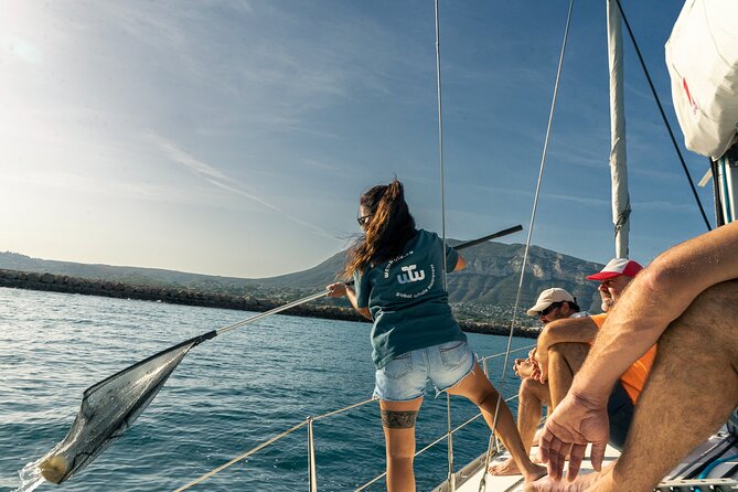Whale & Dolphin Observation on Electric Sailing Boat in Denia - Drinks, fruit, and what is not included