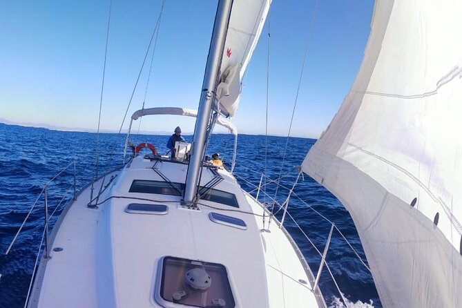 Whale & Dolphin Observation on Electric Sailing Boat in Denia - Who will enjoy this four-hour outing?