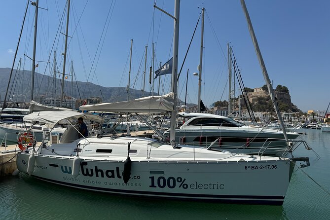 Whale & Dolphin Observation on Electric Sailing Boat in Denia - What the electric sailboat changes