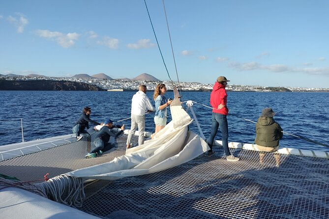 Whale & Dolphin Observation on Silent Catamaran with Hydrophone - The hydrophone, and what it really means