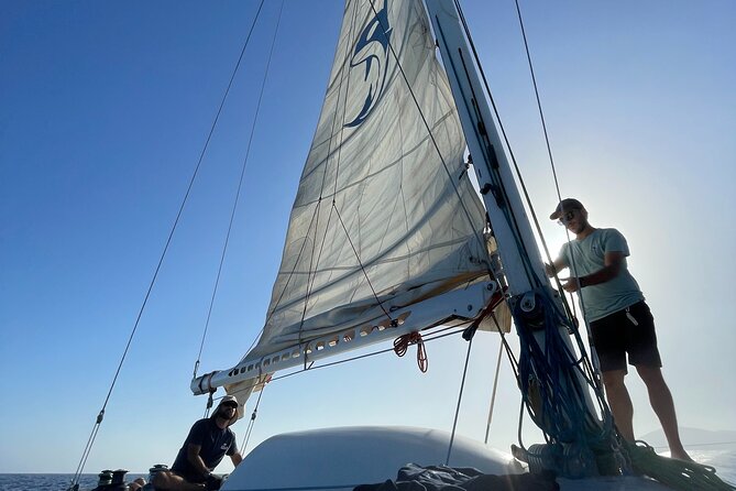 Whale & Dolphin Observation on Silent Catamaran with Hydrophone - Is $114.65 good value for four hours?