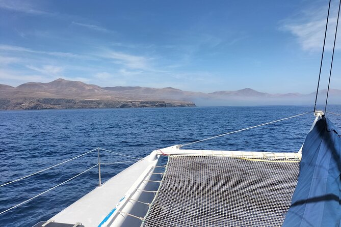 Whale & Dolphin Observation on Silent Catamaran with Hydrophone - Searching the open sea for whales and dolphins