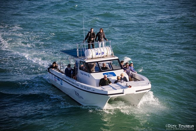 Whale, Dolphin & Penguin Island Cruise - The Crew Adds Real Value