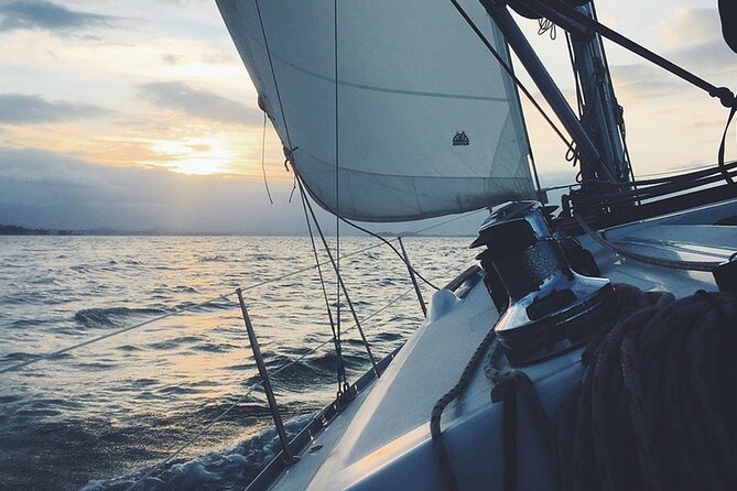 Whale & Dolphin Watching Boat Trip in Tenerife On a Sailing Boat (3 Hr) - The first search for whales and dolphins