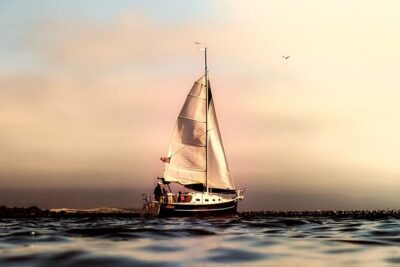Whale & Dolphin Watching Boat Trip in Tenerife On a Sailing Boat (3 Hr)