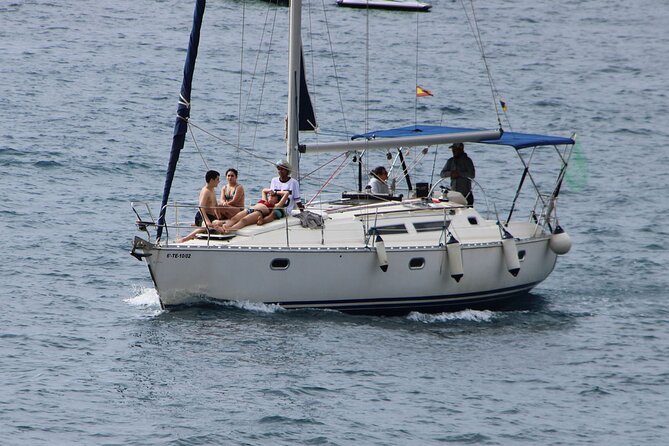 Whale & Dolphin Watching Boat Trip in Tenerife On a Sailing Boat (3 Hr) - Drinks, snacks, and the real value of $52.35