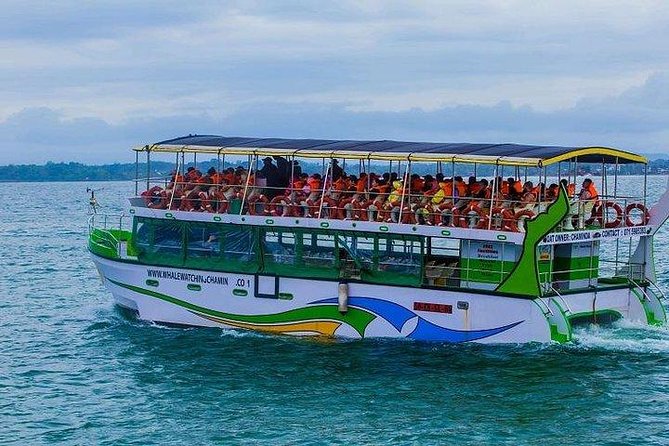 Whale & Dolphin Watching Day Tour including Handunugoda Teafactory - Why this Bentota tour works as a full morning