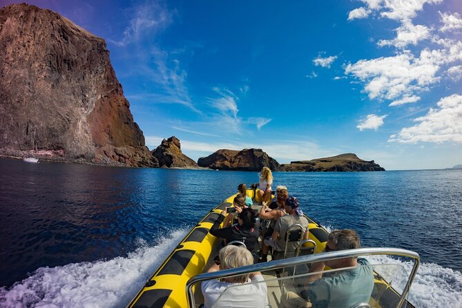 Whale & Dolphin Watching in Madeira - Who Will Enjoy This Madeira Boat Trip Most?