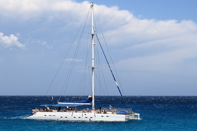Whale & Dolphin Watching in Tenerife (Puerto Colon) On a Large Catamaran - Key points to know before you book