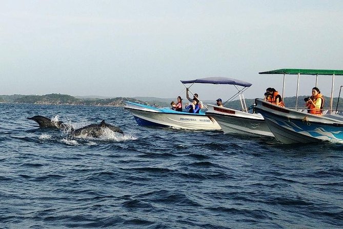 Whale & Dolphin Watching Trincomalee - The private motorboat and the morning at sea