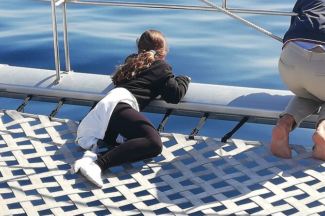 Whale & Dolphin Watching With Mustcat Virgin Coast Trip On a Large Catamaran - Swimming near the bay or Palm Mar cave