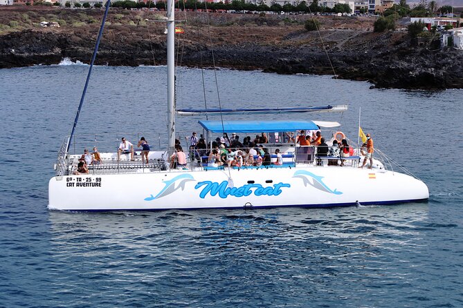 Whale & Dolphin Watching With Mustcat Virgin Coast Trip On a Large Catamaran - Friendly crew and useful wildlife guidance