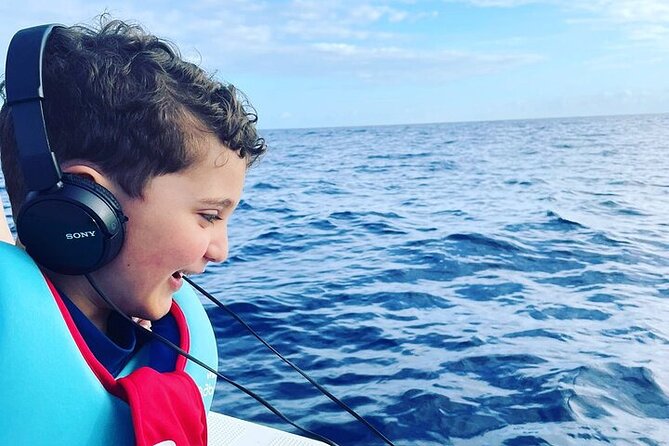 Whale Dream ltd - Whales watching and swim with dolphins - Snorkeling, turtles, and the calmer final stop