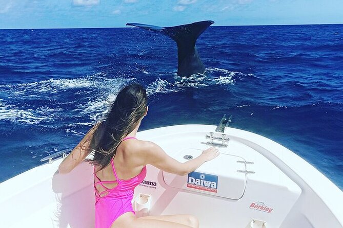 Whale Dream ltd - Whales watching and swim with dolphins - What the crew does well