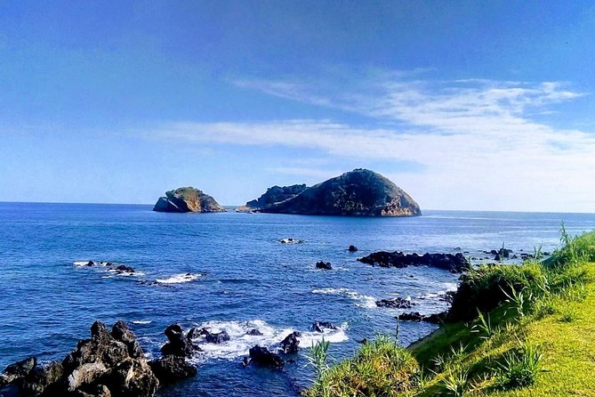 Whale Watching Tour + Vila Franca Islet: Full-day with lunch - A full day that joins wildlife with a volcanic swimming hole