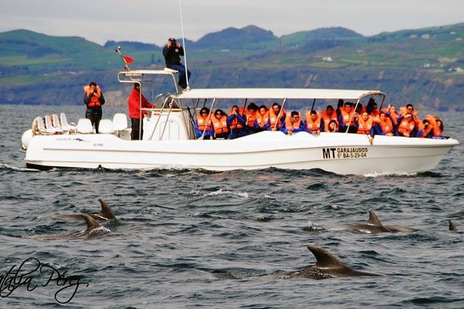 Whale Watching Tour + Vila Franca Islet: Full-day with lunch - Crossing to Vila Franca Islet