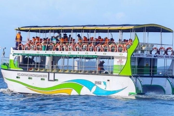 Whales and Dolphins Watching-Luxury Super Grade Cruiser(Hotel Pick up offered) - The boat, seating, and safety setup