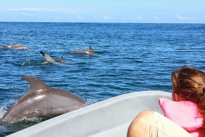 Whales and Dolphins watching Tour From Uvita - Caves, swimming, and snorkeling conditions