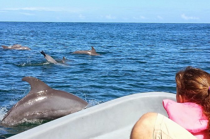 Whales and Dolphins watching Tour From Uvita - Who will enjoy this Uvita boat trip most?