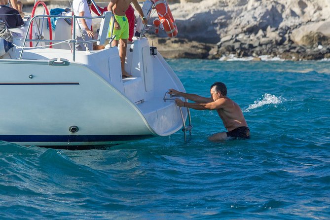 Whales & Dolphins watching in exclusive sailboat - Is $71.35 good value?