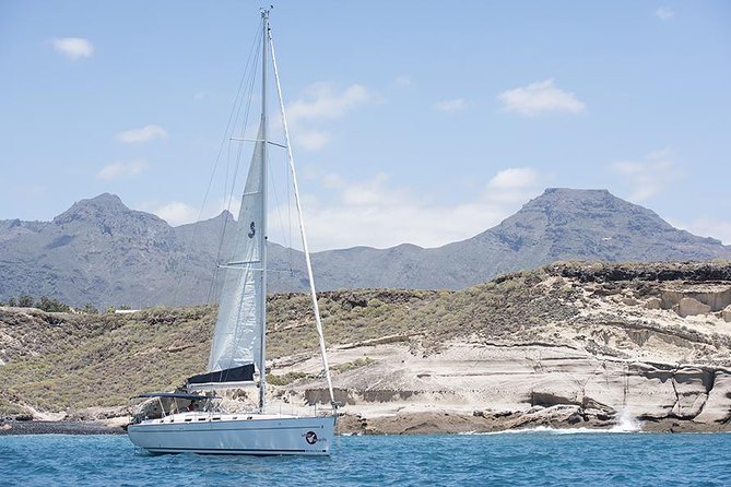 Whales & Dolphins watching in exclusive sailboat - Pickup, equipment, and what to bring