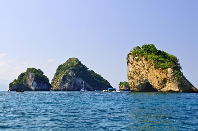 Wild Dolphin Encounter & Snorkeling Adventure - Key points to know before you book