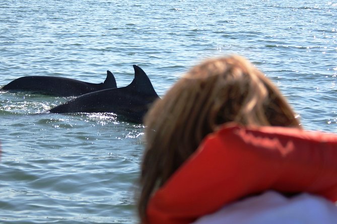 Wild Dolphin Encounter & Snorkeling Adventure - Los Arcos gives the trip a scenic second act