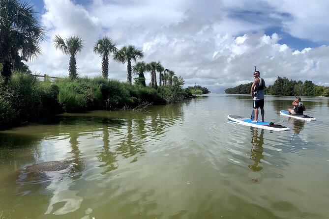 Wildlife Refuge Dolphin, Manatee & Mangrove Kayak or Paddleboarding Tour! - Key points to know before you paddle