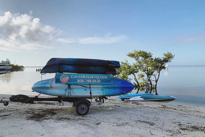 Wildlife Refuge Dolphin, Manatee & Mangrove Kayak or Paddleboarding Tour! - Launching at Haulover Canal near Cocoa Beach