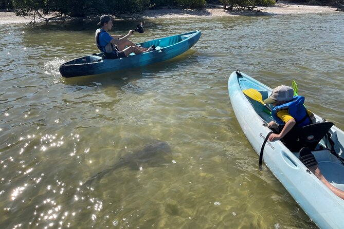 Wildlife Refuge Dolphin, Manatee & Mangrove Kayak or Paddleboarding Tour! - What the $50 price really covers