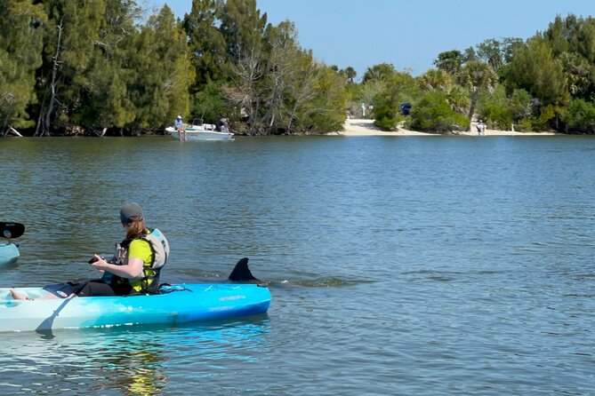 Wildlife Refuge Dolphin, Manatee & Mangrove Kayak or Paddleboarding Tour! - Who will enjoy this outing most