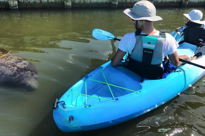 Wildlife Refuge Manatee, Dolphin & Mangrove Kayak or Paddleboarding Tour! - Getting to Haulover Canal from Cocoa Beach