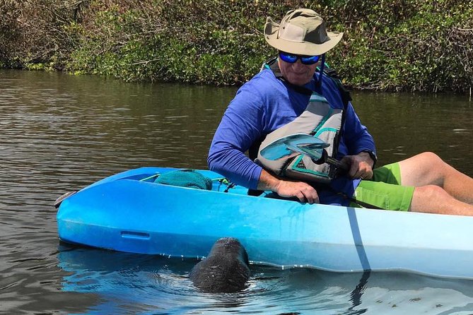 Wildlife Refuge Manatee, Dolphin & Mangrove Kayak or Paddleboarding Tour! - Launching onto the Indian River and Mosquito Lagoon