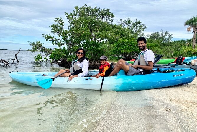 Wildlife Refuge Manatee, Dolphin & Mangrove Kayak or Paddleboarding Tour! - Manatees, dolphins, and the luck factor