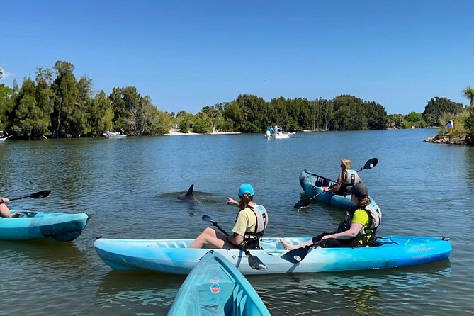 Wildlife Refuge Sunset Dolphin, Manatee & Mangrove Kayak or Paddleboarding Tour! - Choosing a kayak or stand-up paddleboard