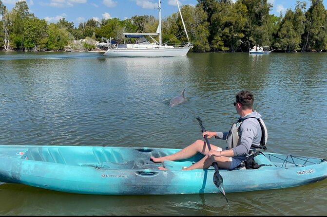 Wildlife Refuge Sunset Dolphin, Manatee & Mangrove Kayak or Paddleboarding Tour! - Paddling through mangroves and islands
