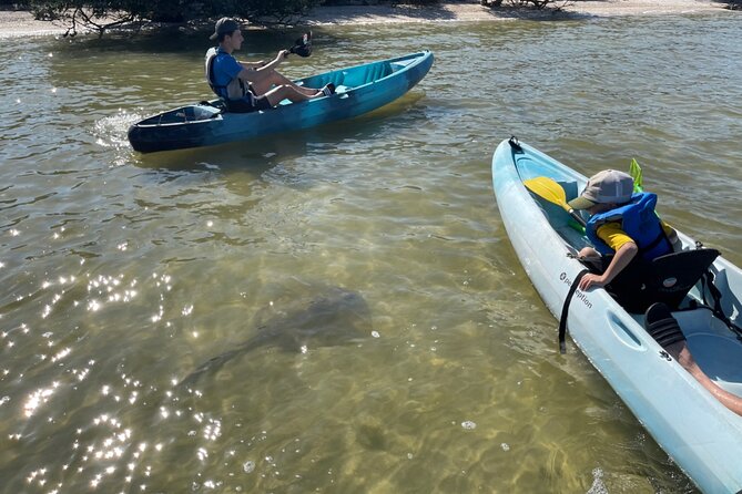 Wildlife Refuge Sunset Dolphin, Manatee & Mangrove Kayak or Paddleboarding Tour! - Meeting at Haulover Canal near Kennedy Space Center