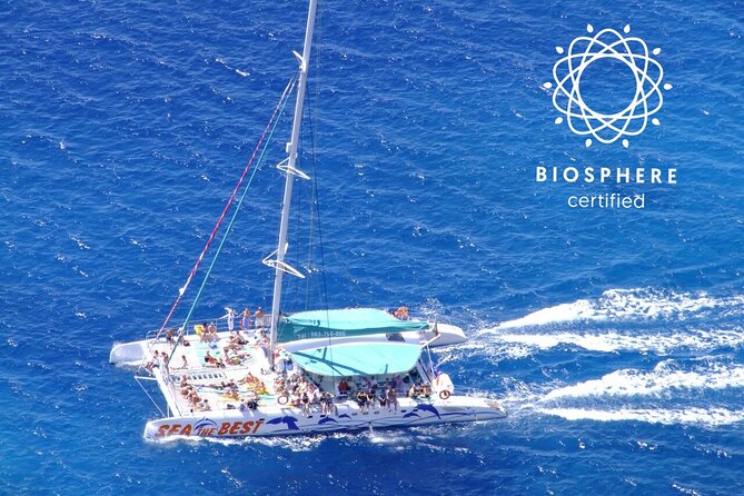 Wines Tasting Experience and Skywalk with Dolphin Watching - One day, two very different Madeira outings