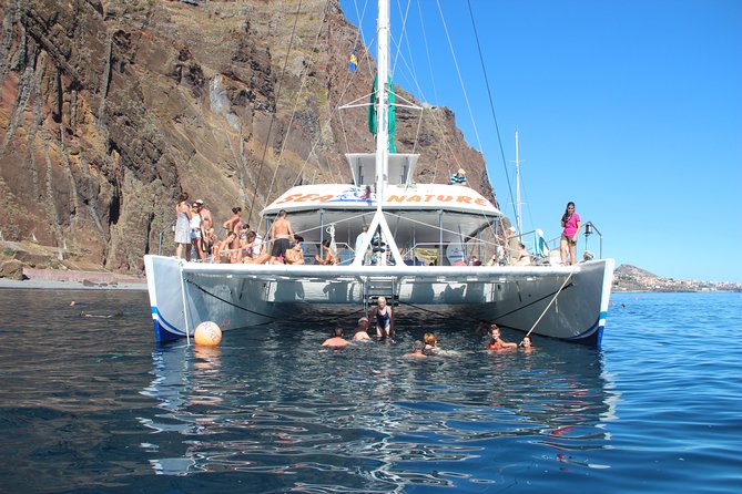 Wines Tasting Experience and Skywalk with Dolphin Watching - A three-hour boat trip from Funchal Harbor