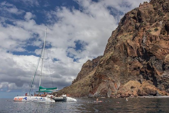 Wines Tasting Experience and Skywalk with Dolphin Watching - Booking details and practical advice