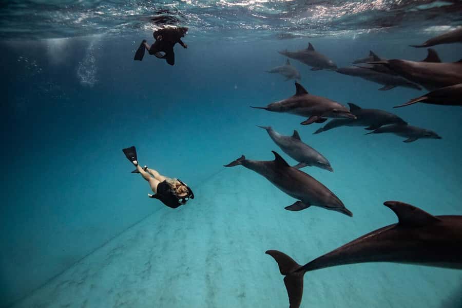 Zanzibar: Half-day Dolphin Swim & Snorkeling Boat Trip - Starting the Morning on Zanzibar’s South Coast