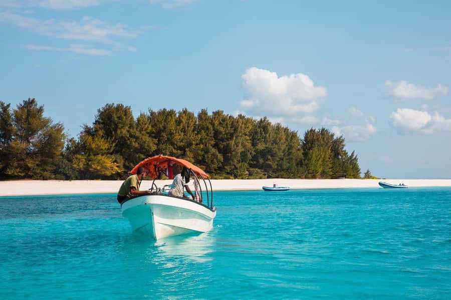 Zanzibar: Half-day Dolphin Swim & Snorkeling Boat Trip - Watching Dolphins Without Chasing Them
