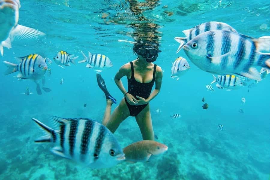 Zanzibar: Half-day Dolphin Swim & Snorkeling Boat Trip - The Sandbank Stop and Open-Water Views