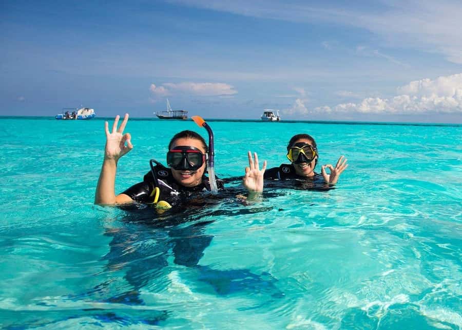 Zanzibar: Half-day Dolphin Swim & Snorkeling Boat Trip - Equipment, Packing, and Comfort