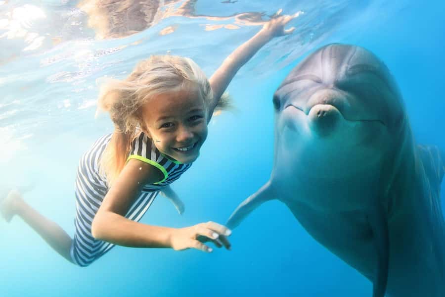 Zanzibar: Half-day Dolphin Swim & Snorkeling Boat Trip - The 30-Minute Boat Ride to Dolphin Waters