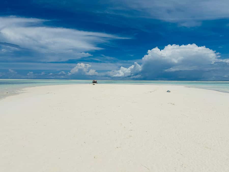 Zanzibar: Mnemba Island Dolphin and Snorkeling Tour - The ride back along Zanzibar’s coast