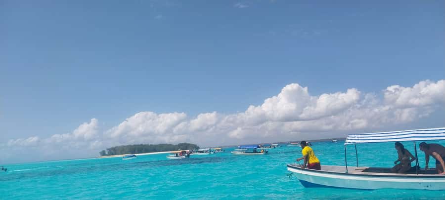 Zanzibar: Mnemba Island Dolphin and Snorkeling Tour - Who will get the most from this trip?