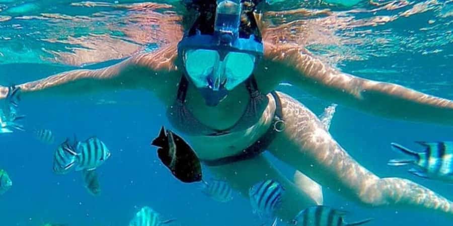 Zanzibar: Mnemba Island&Dolphin Swim With Optional Lunch - Sandbanks, fruit, and the Mnemba view