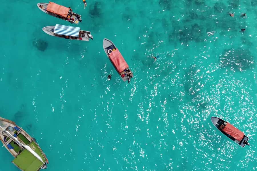 Zanzibar: Mnemba Island&Dolphin Swim With Optional Lunch - Should you book it?